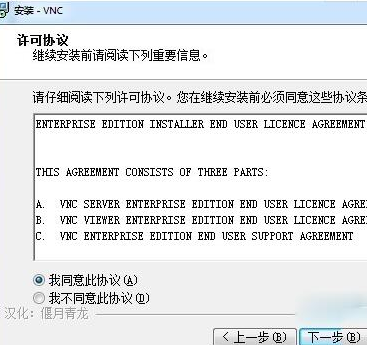 RealVN中文破解版