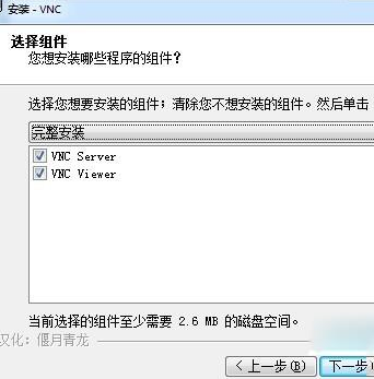 RealVN中文破解版