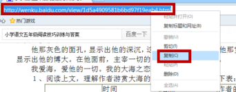 冰点文库免安装绿色版
