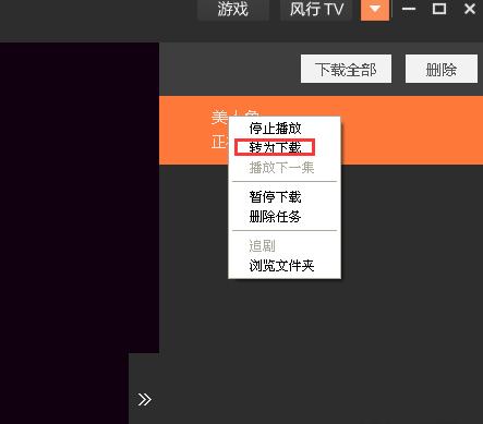 风行视频播放器官方版