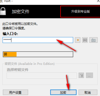 FortHomeEdition文件管理软件中文官方版