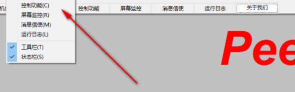 PeerOne远程监控软件官方版