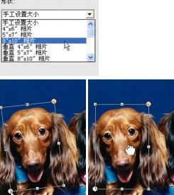 我行我速图片处理工具破解版