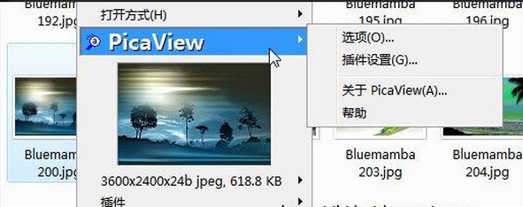 Picaview右键浏览图片汉化版