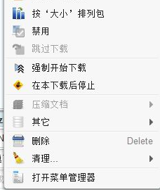 JDownloader中文绿色版