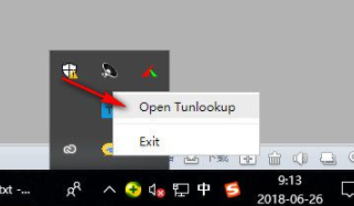 Tunlookup文本翻译工具官方版
