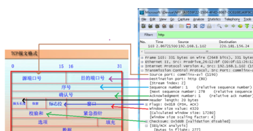 Wirshark网络抓包工具中文版