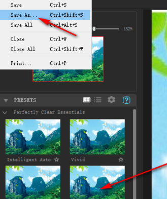 PerfectlyClearWorkbench中文破解版