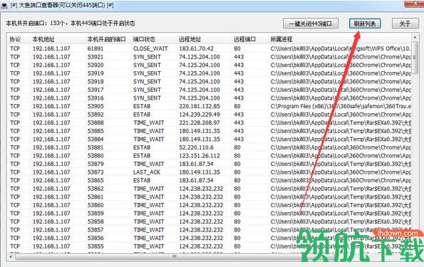 大鱼端口查看器中文绿色版