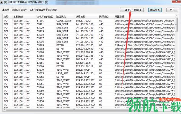 大鱼端口查看器中文绿色版