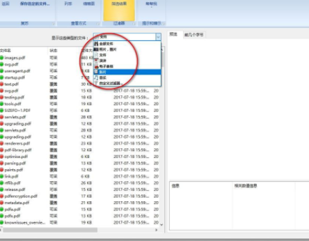 DiskDiggerPro数据恢复中文破解版