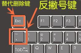 君悦复制粘贴工具绿色版