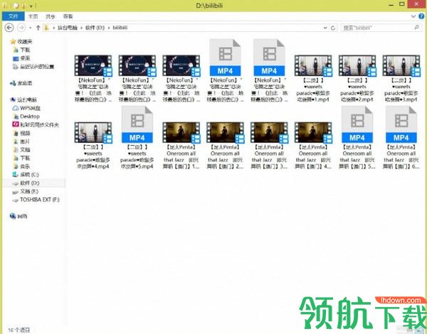 bilibili视频下载工具 绿色版