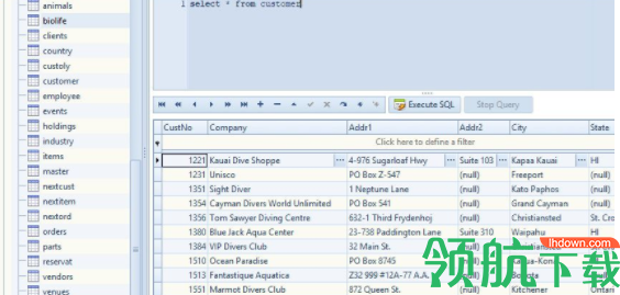 SQLiteExpertProfessional管理工具破解版