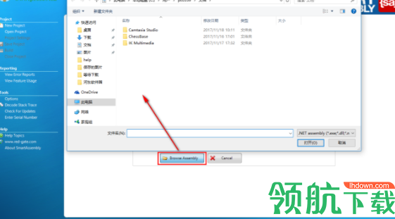 SmartAssemblyProfessional中文破解版