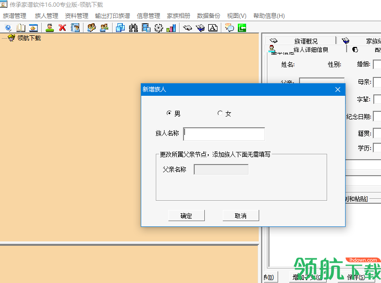 传承家谱16.0绿色版