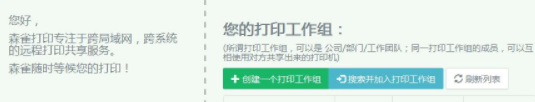 森雀远程打印工具官方版