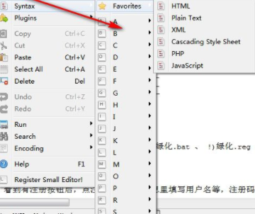 DecSoftsSmallEditor代码编辑器破解版