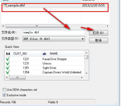 dbfviewerpro文件编辑工具破解版