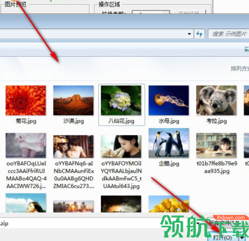 猫窝图片格式转换器官方版