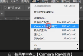 AdobeCameraRaw插件中文版