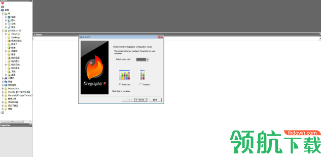 Firegraphic9(图片管理软件) 免费版