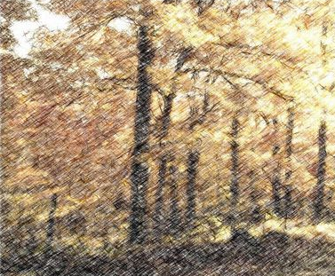 FotoSketcher相片变素描中文版