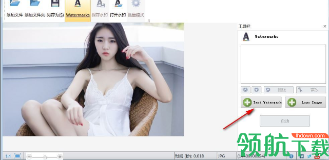 Batch Picture Protector(照片添加水印软件)官方版