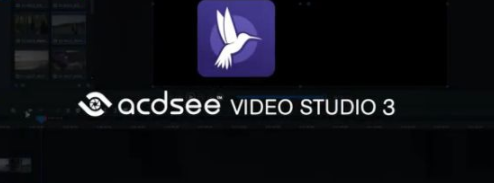 ACDSeeVideoStudio飞鸟剪辑汉化破解版