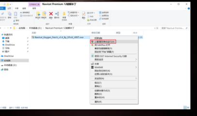 PremiumSoftNavicatfor数据库工具绿色破解版
