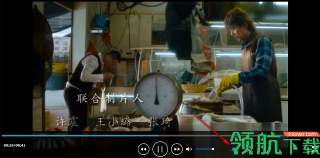 Wise Video Player(简约万能播放器)中文版
