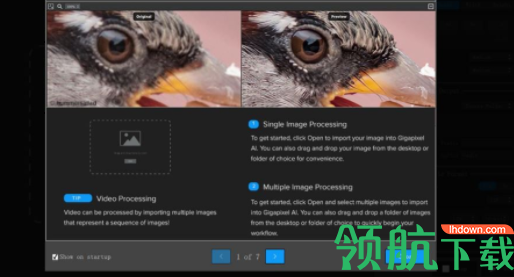 Topaz Gigapixel AI(图片无损放大软件)官方版