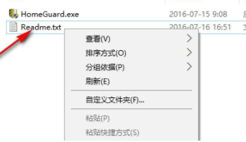 HomeGuard电脑监视器官方版