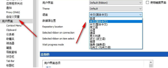 DevolutionsRemoteDesktopManager破解版