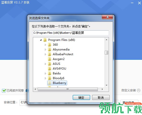 蓝莓投屏PC版