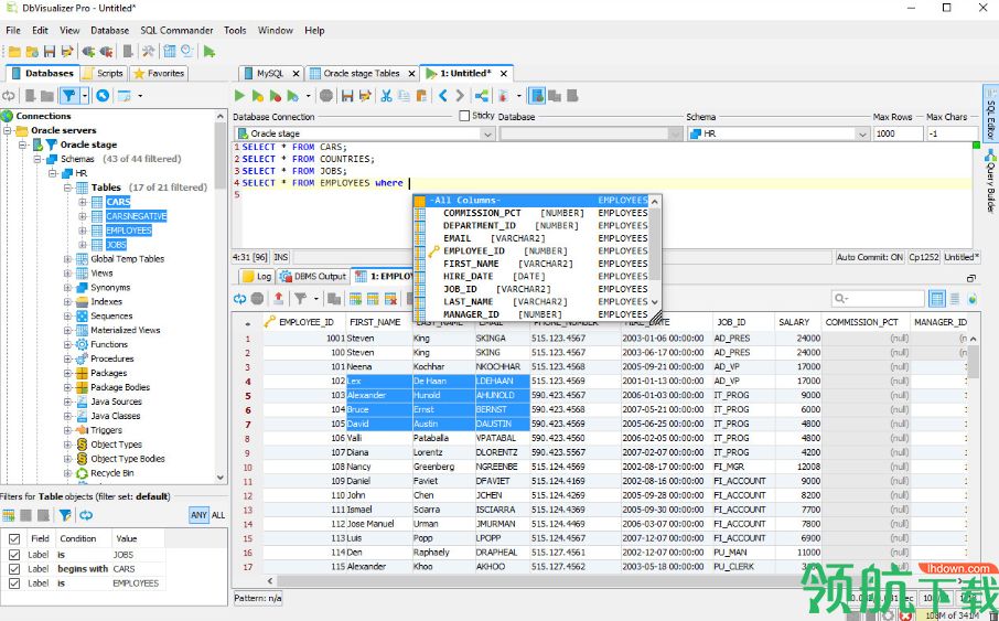 DbVisualizer Pro破解版