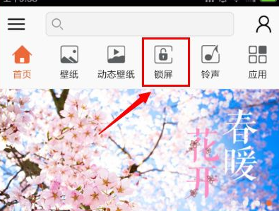 安卓壁纸破解版