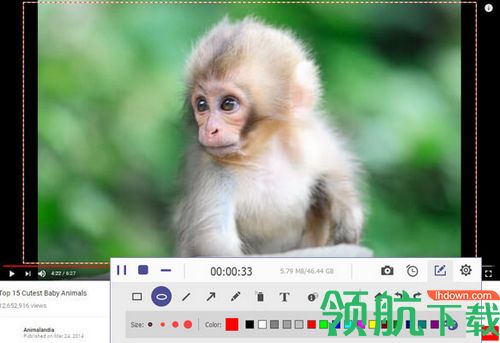 AnyMP4 Screen Recorder破解版