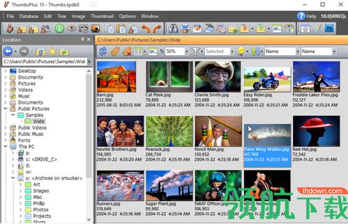 ThumbsPlus Pro 10破解版
