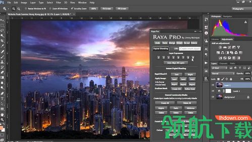 Raya Pro 3破解版