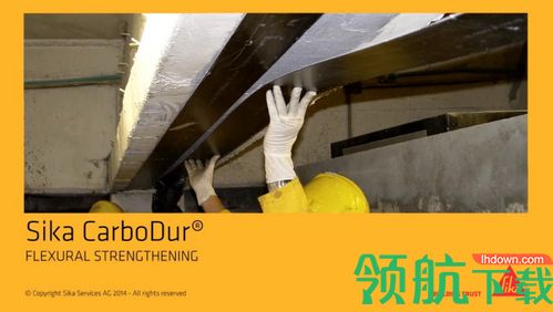 Sika CarboDur破解版