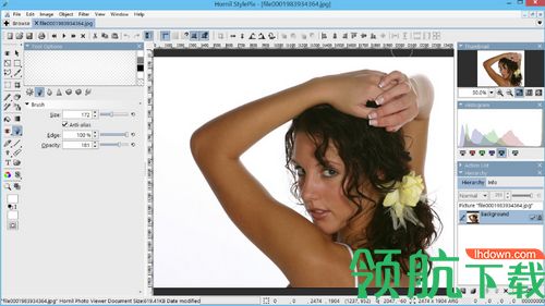 Hornil StylePix Pro破解版