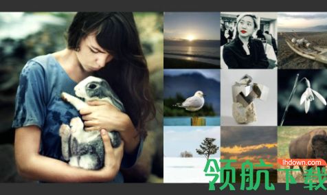 Summitsoft Phototools 2破解版