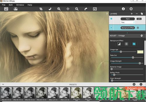 Hand Tint Pro破解版