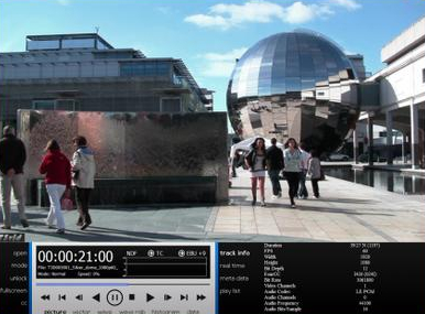 DrasticPreview Pro破解版