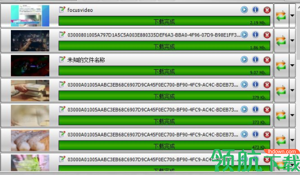 VSODownloader在线视频下载器绿色版