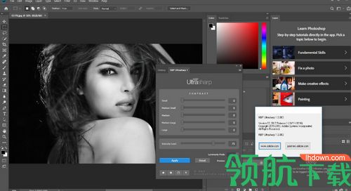 NBP Ultrasharp for Photoshop破解版