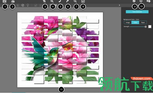 Photo Formation