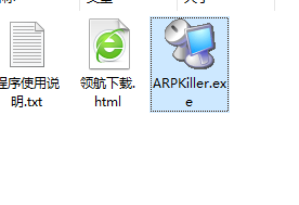 arpkiller绿色官方版