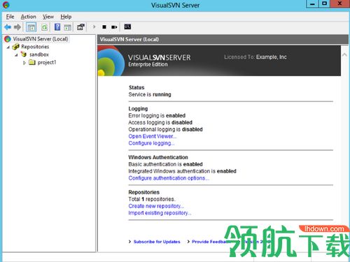 VisualSVN Server Enterprise破解版